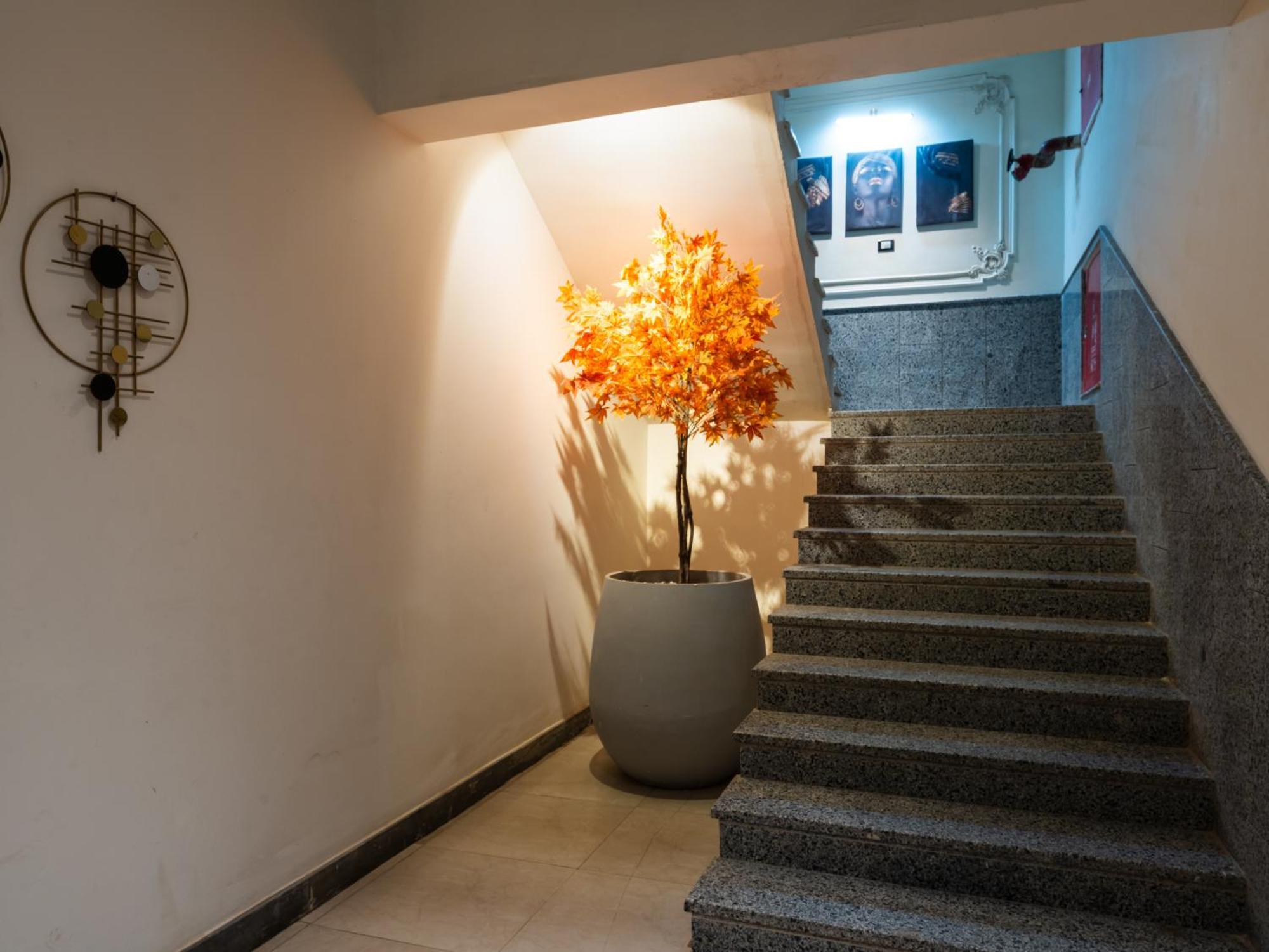 Panorama Ramsis Hotel&café 3*
